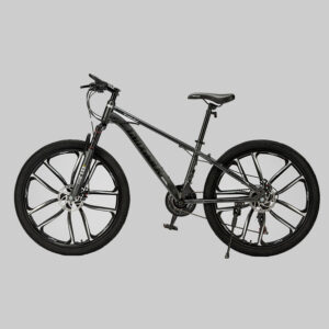 Mountain bike off-road shock-absorbing racing car